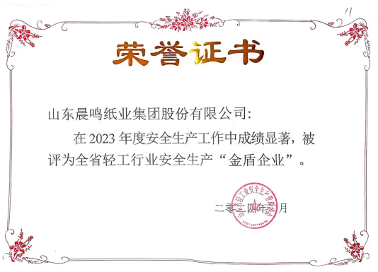 晨鳴集團獲評全省輕工行業安全生產“金盾企業”